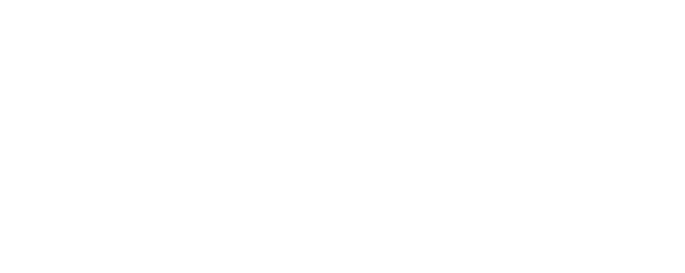 bino-header-logo