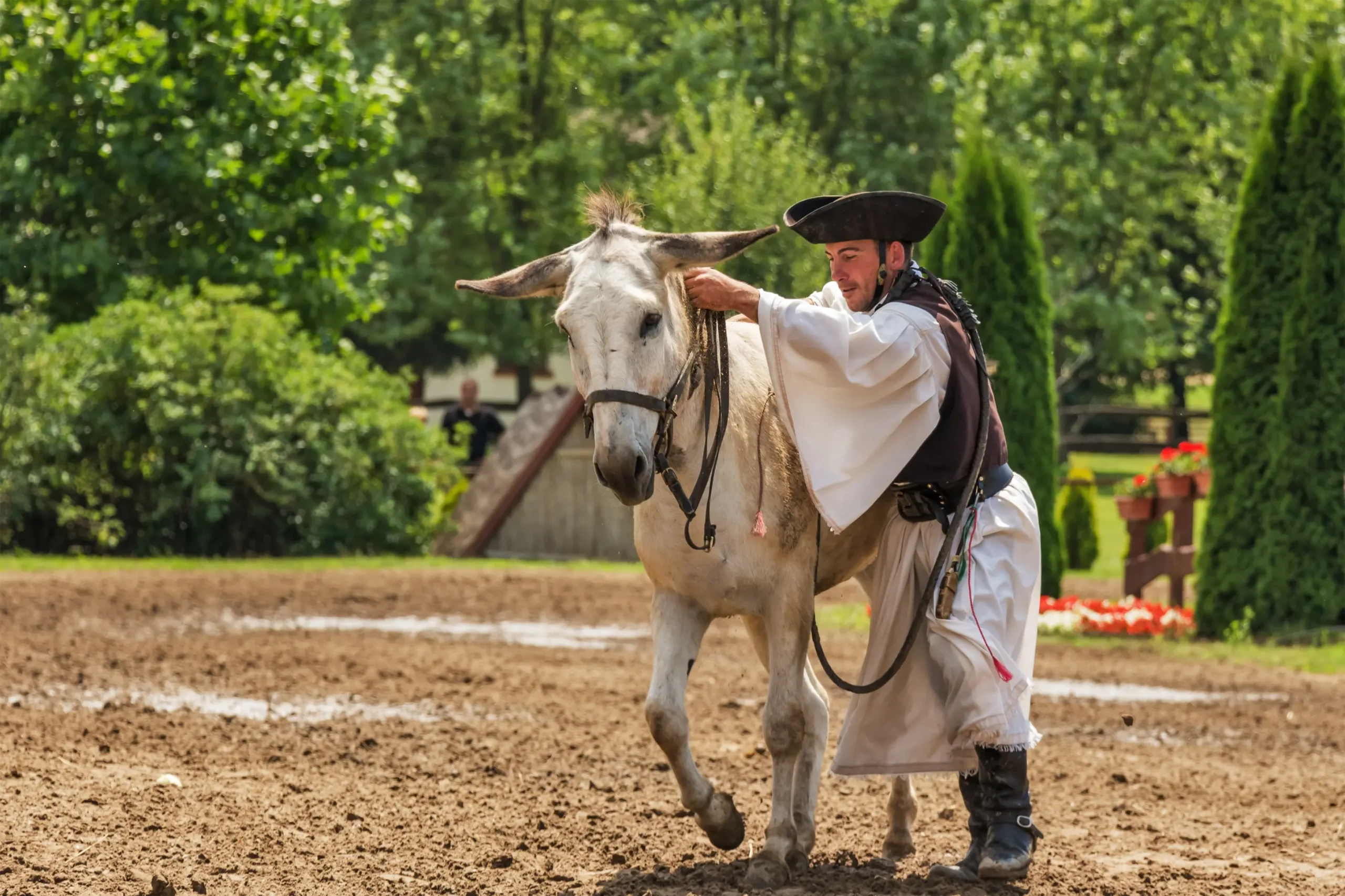 man-animal-horse-stallion-domestic-animal-donkey-749976-pxhere.com