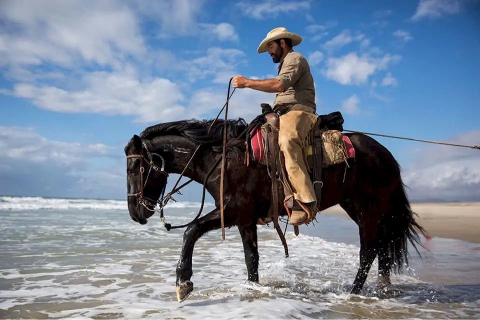 Meet the Horses That Make Our Rides Special