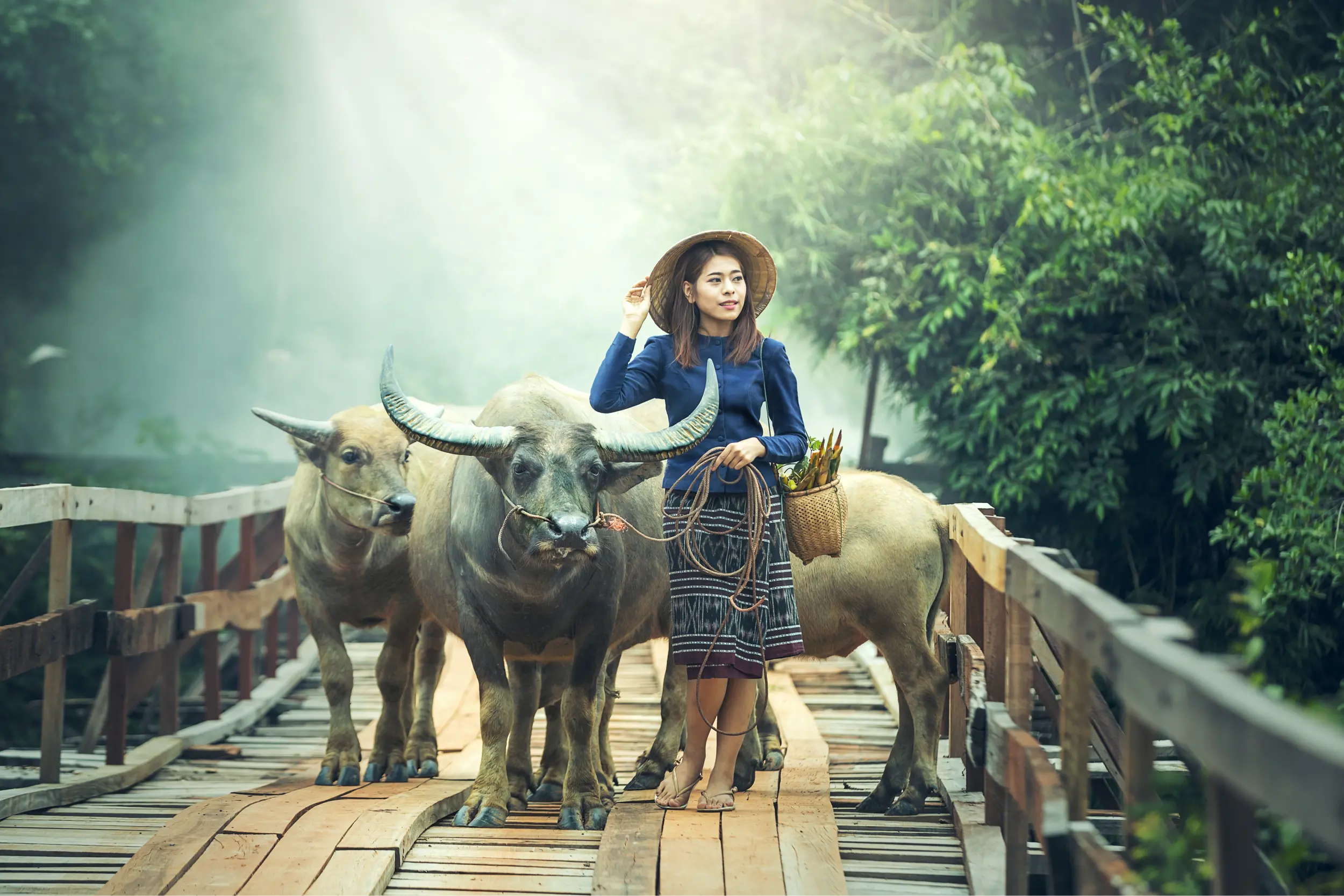 nature-grass-people-plant-girl-woman-1028440-pxhere.com