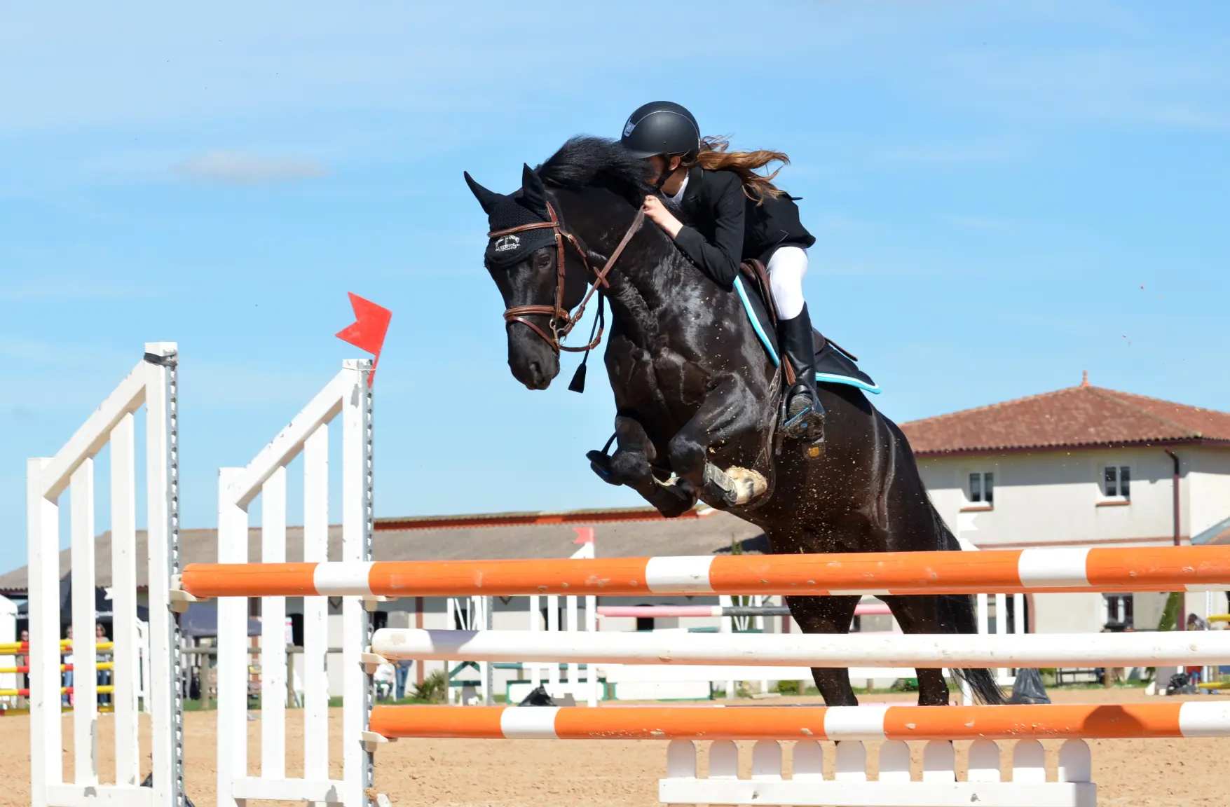 person-sport-recreation-jumping-horse-stallion-1231795-pxhere.com