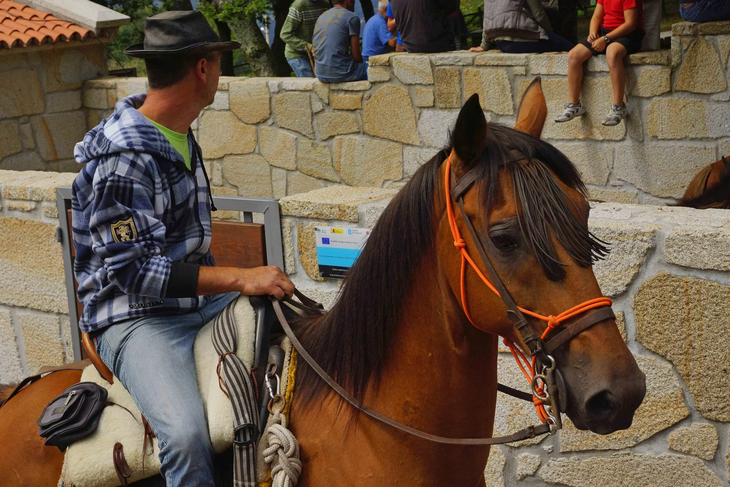photo-horse-spain-sports-animals-mare-406741-pxhere.com