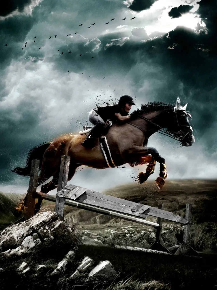 sport-animal-jump-jumping-rider-horse-958098-pxhere.com