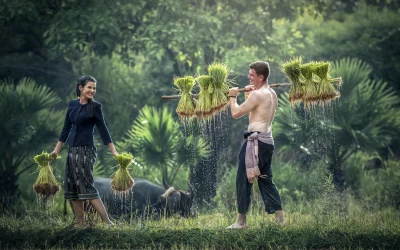 How Organic Farming Benefits The Human Body
