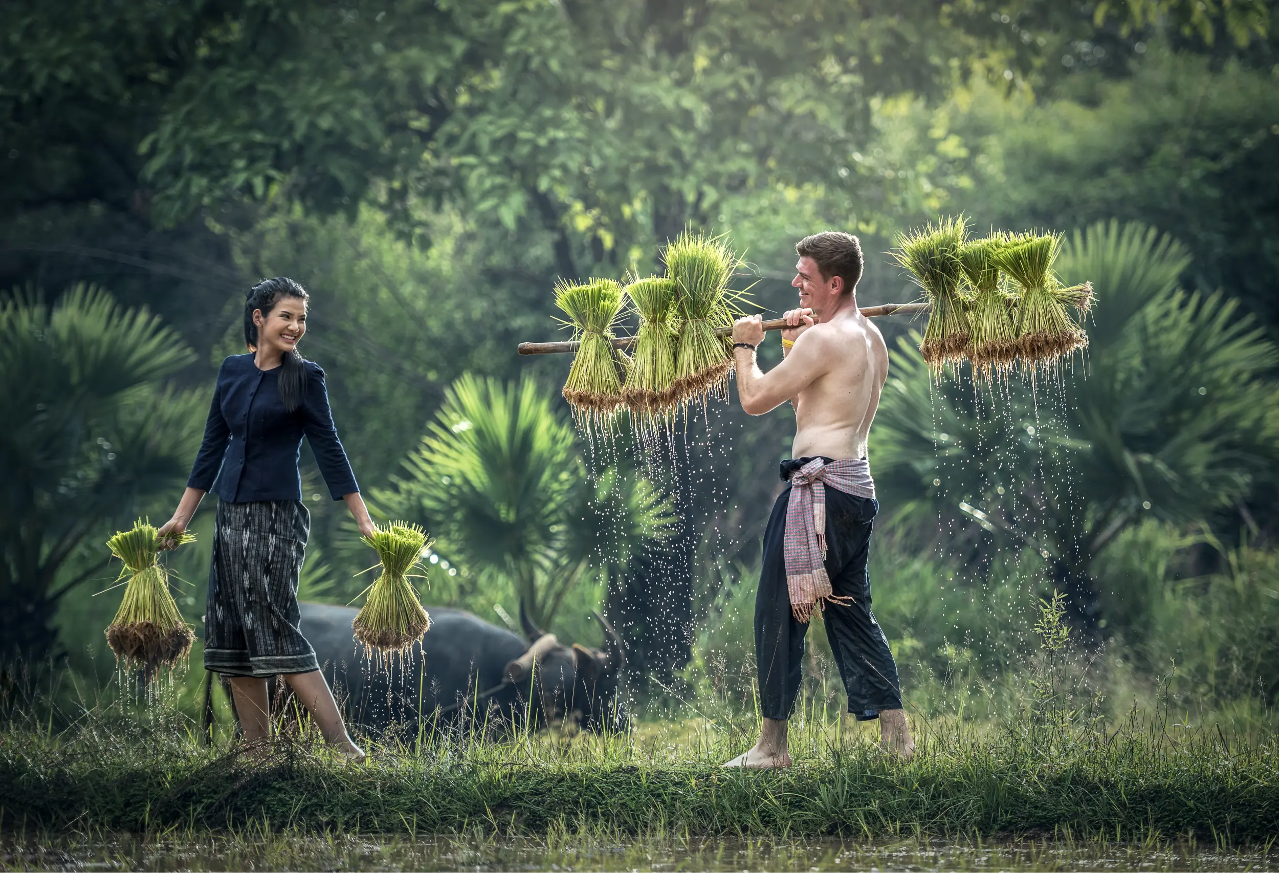 water-forest-grass-outdoor-people-growth-1271140-pxhere.com