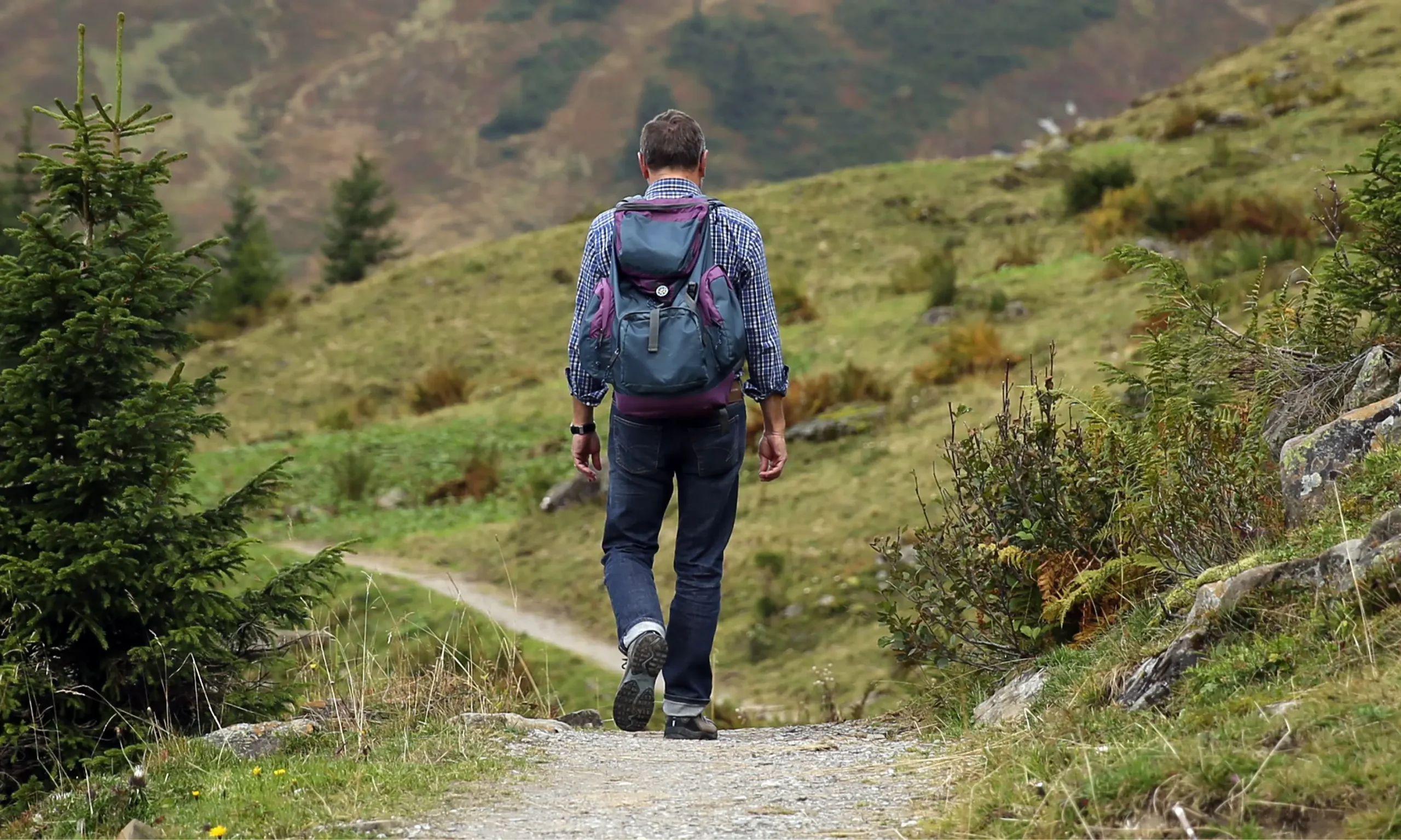 landscape-nature-path-wilderness-walking-mountain-934320-pxhere.com