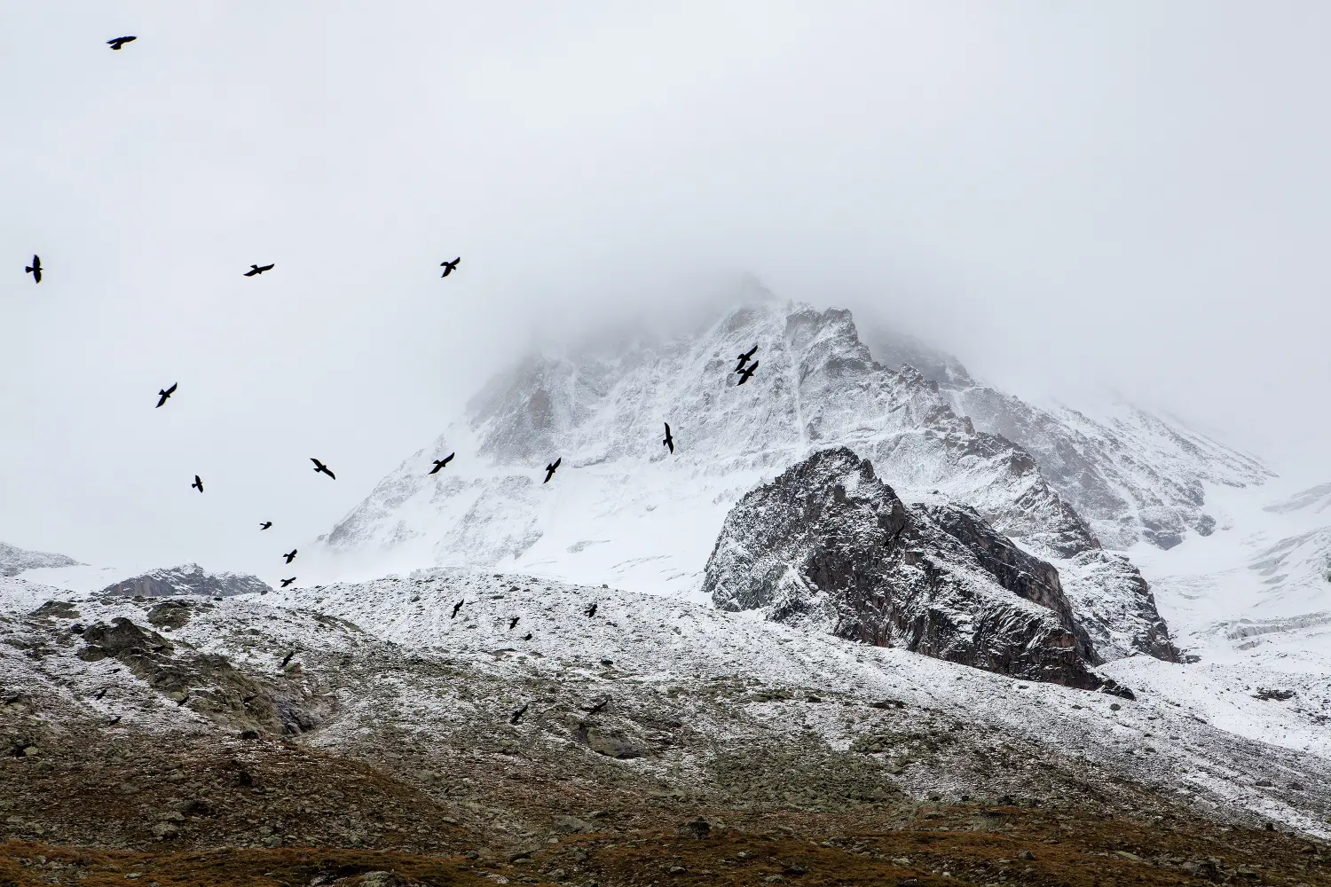 mountain-snow-winter-bird-fog-adventure-173181-pxhere.com