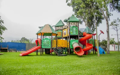 Importance Of Saving Animal Habitats