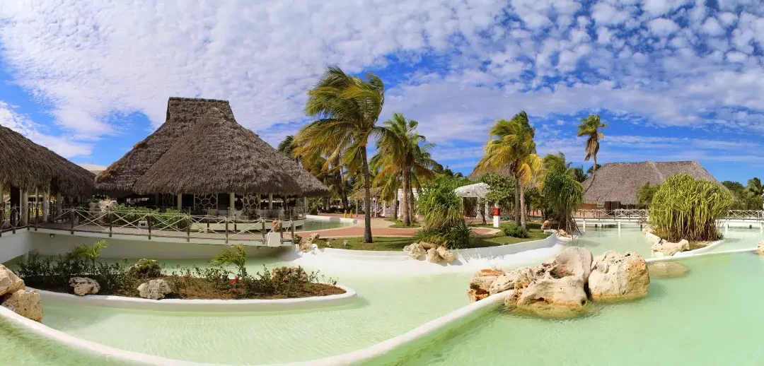 Adventures In The Animal Kingdom