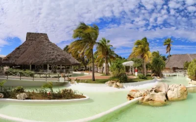 Adventures In The Animal Kingdom