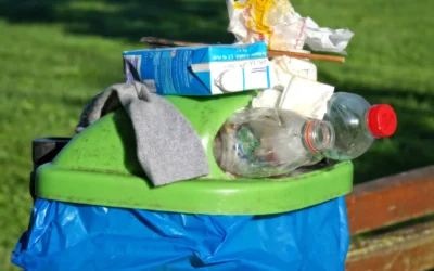 Top Tips For Effective Household Recycling Practices