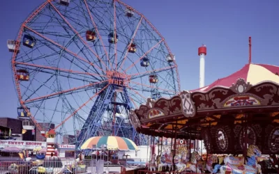 Wildlife Photography Tips For Beginners