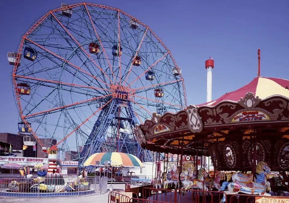 Wildlife Photography Tips For Beginners