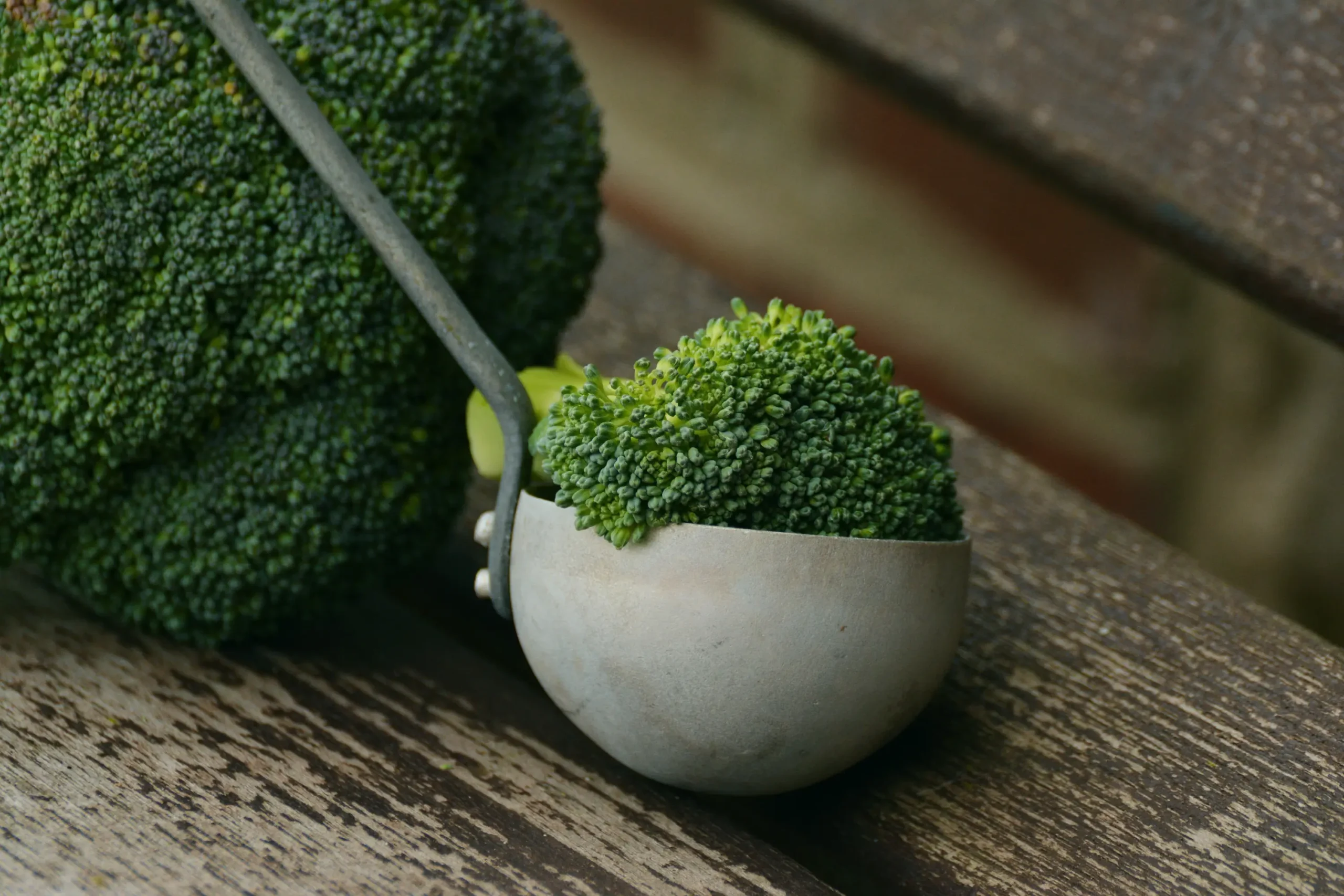 plant-leaf-food-green-produce-vegetable-1283031-pxhere.com