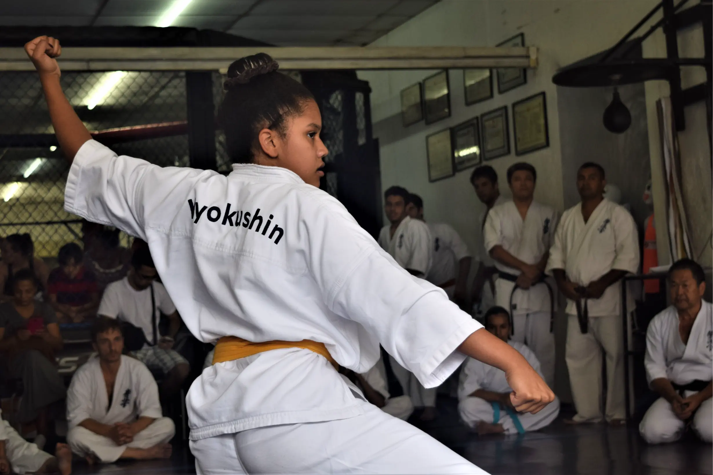 karate-kyokushin-kata-demonstracao-apresentacao-faixa-1595140-pxhere.com