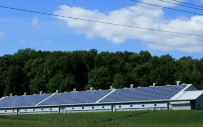 Tips To Maximize Solar Power Output